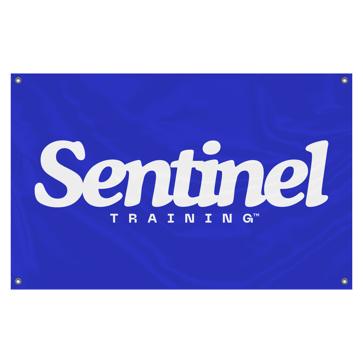 Sentinel Training Flag