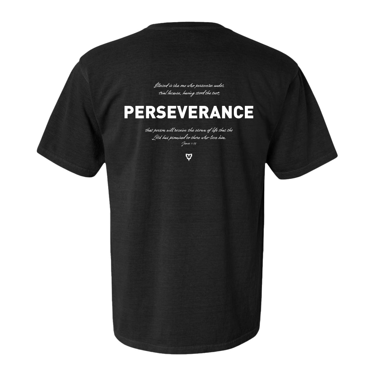 Perseverance Relaxed Tees