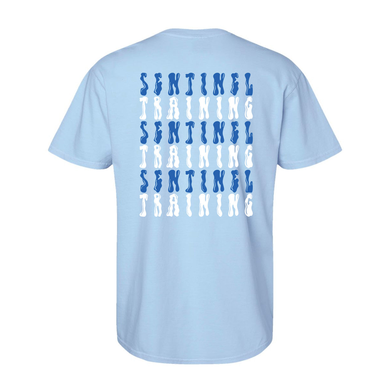 Sentinel Training Flow Relaxed Tee
