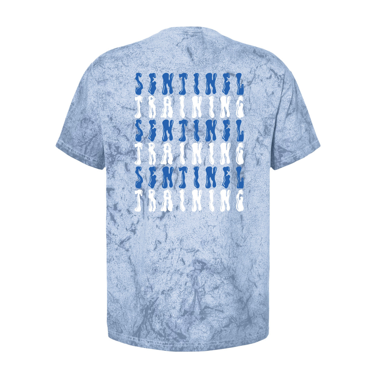 Sentinel Training Flow Relaxed Tee