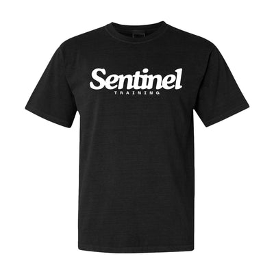 Sentinel Training Logo CC Tee in Black — front view by VNDK8
