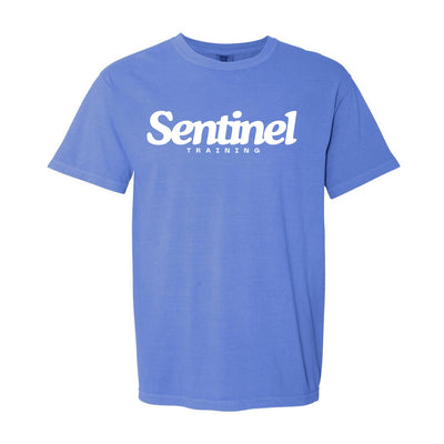 Sentinel Training Logo CC Tee in Blue — front view by VNDK8