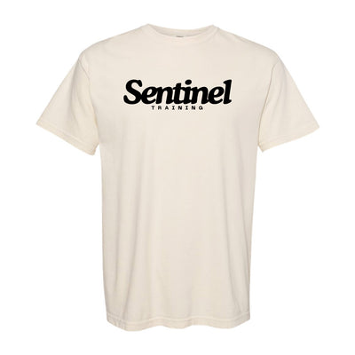 Sentinel Training Logo CC Tee in Ivory — front view by VNDK8