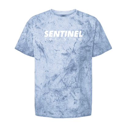 Sentinel Training "The Standard" Tees